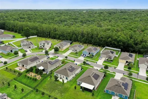4810 Magnetite Loop Mount Dora FL 32757