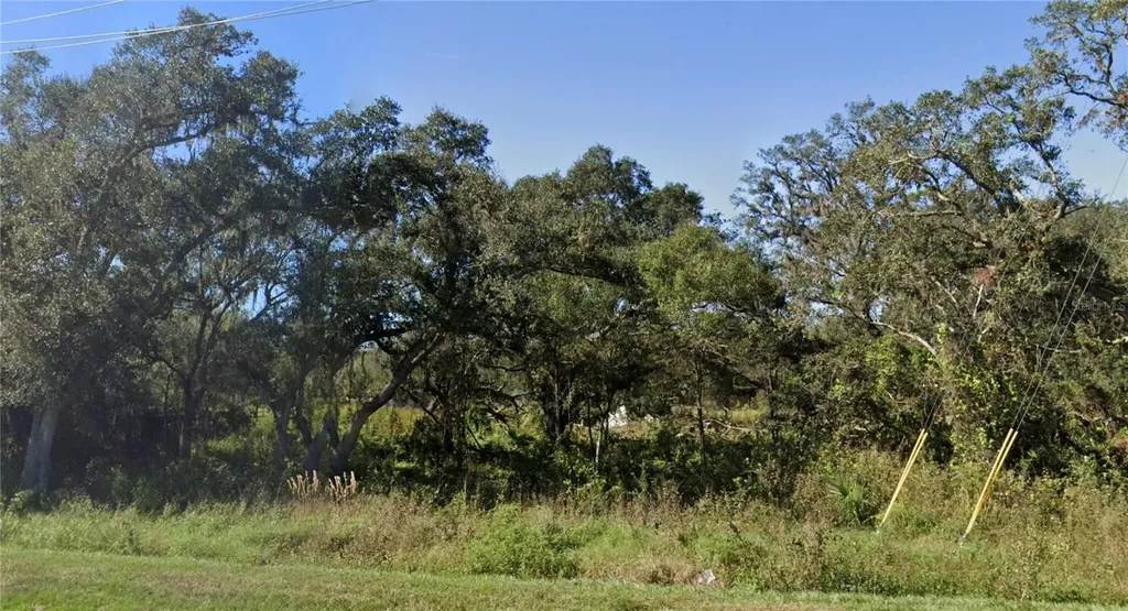 125 Oak Lane Zolfo Springs FL 33890