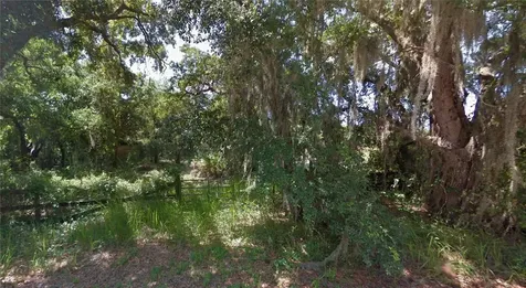 125 Oak Lane Zolfo Springs FL 33890
