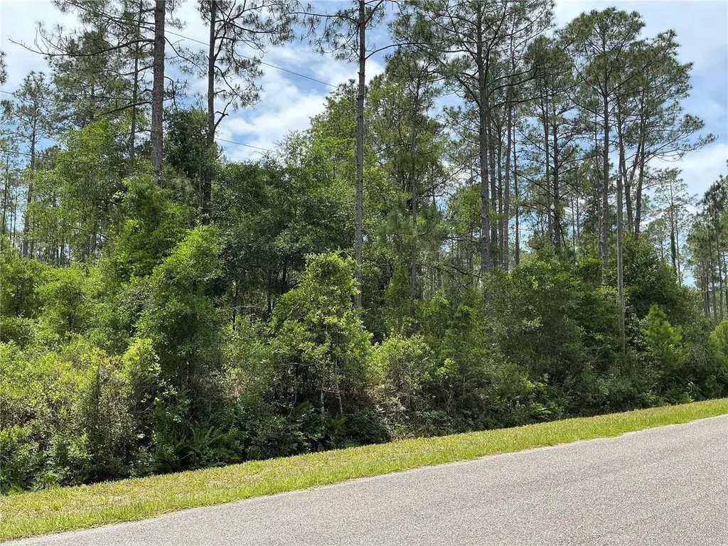 4365 Vicki Street Hastings FL 32145