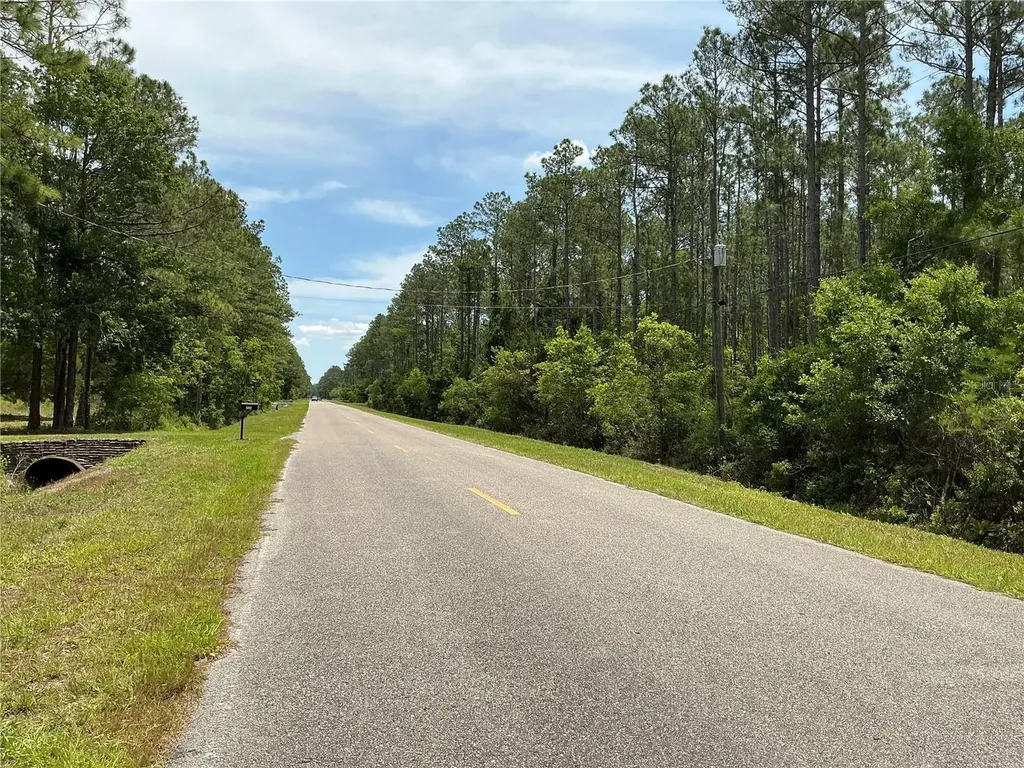 4365 Vicki Street Hastings FL 32145