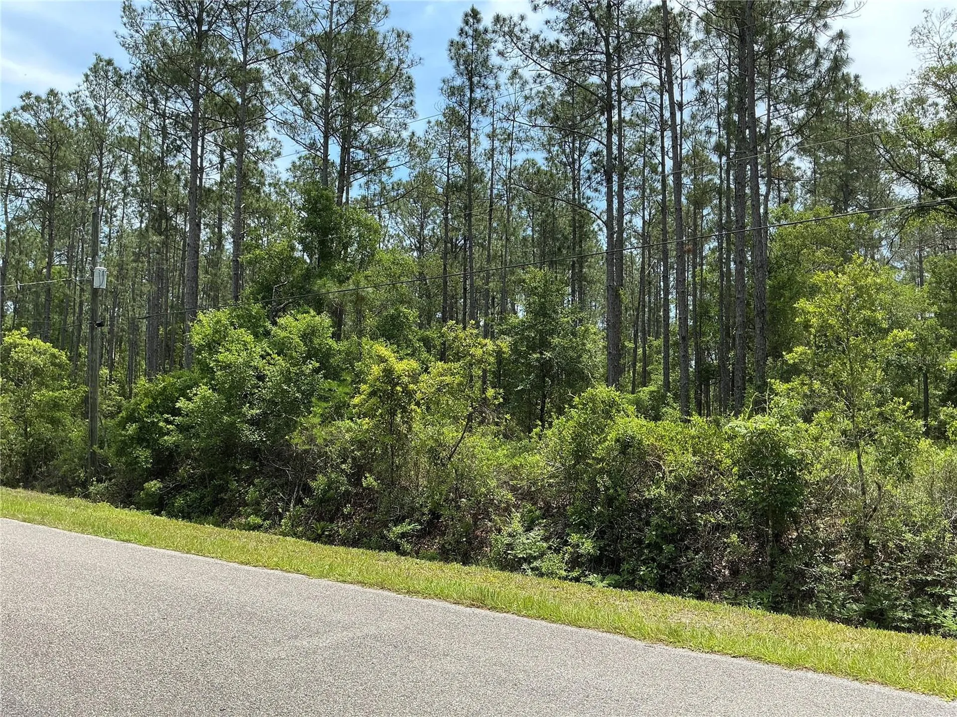 4365 Vicki Street Hastings FL 32145