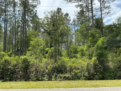 4365 Vicki Street Hastings FL 32145
