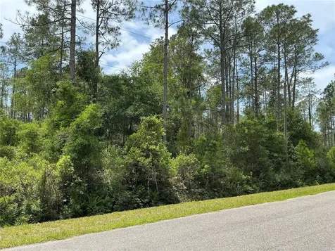 4365 Vicki Street Hastings FL 32145