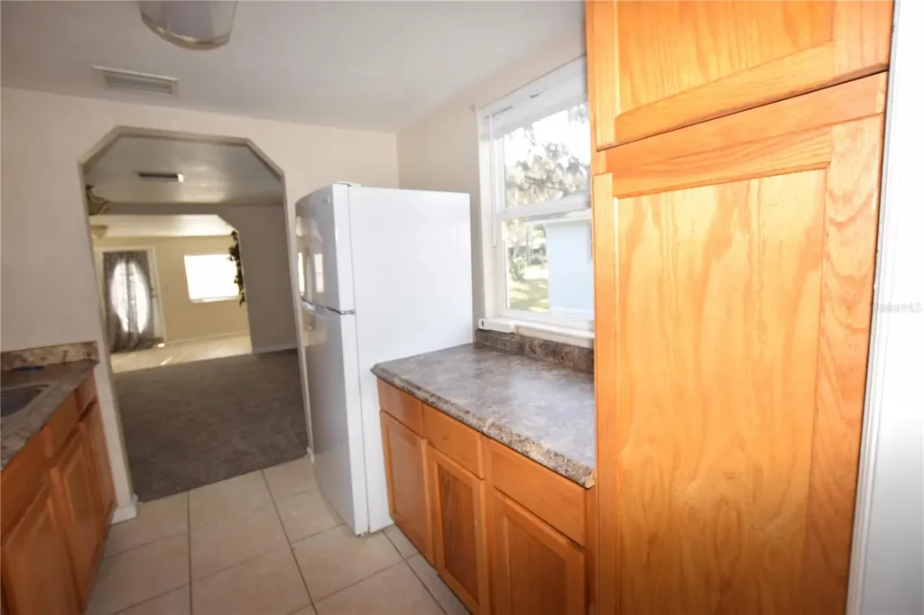 317 E Barnes Avenue Eustis FL 32726