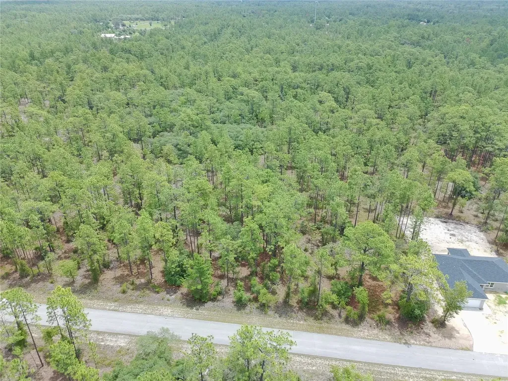 SW Buena Vista Road Dunnellon FL 34431