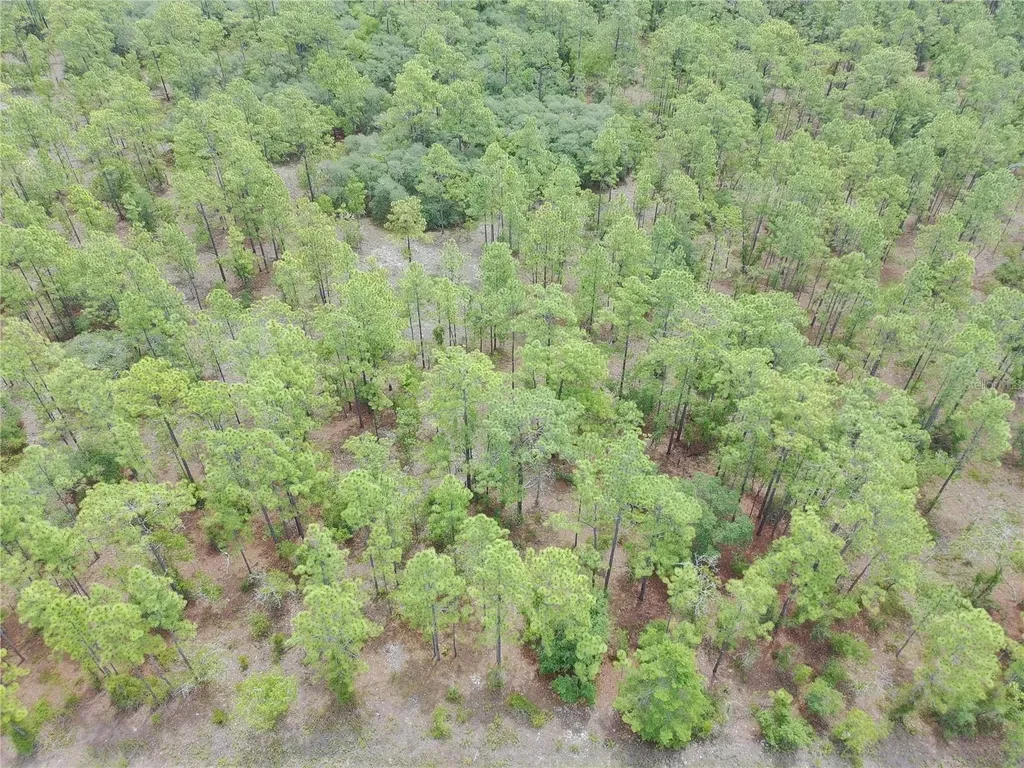 SW Buena Vista Road Dunnellon FL 34431
