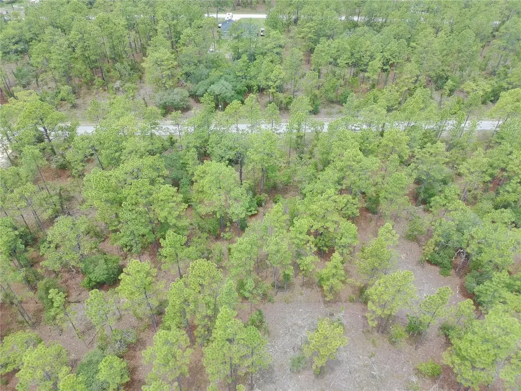 SW Buena Vista Road Dunnellon FL 34431