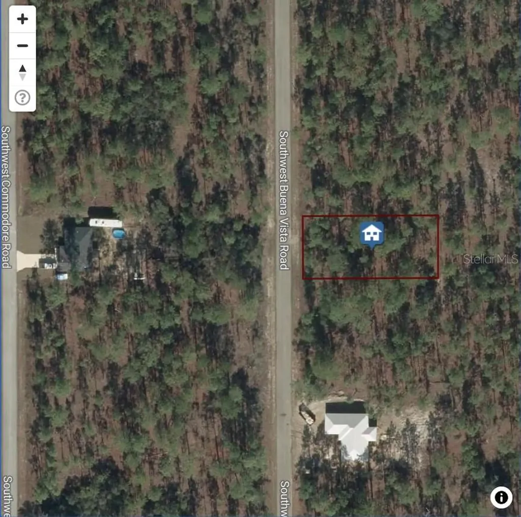 SW Buena Vista Road Dunnellon FL 34431