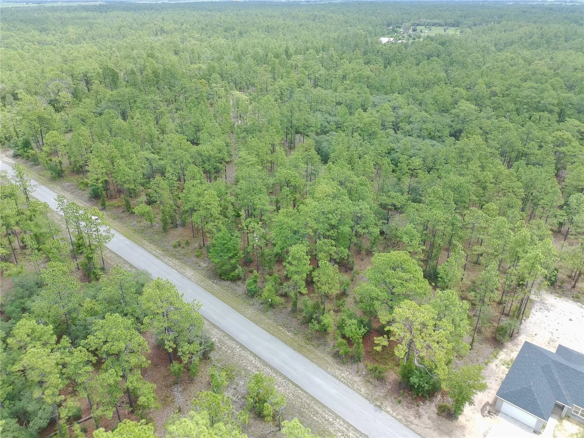 SW Buena Vista Road Dunnellon FL 34431