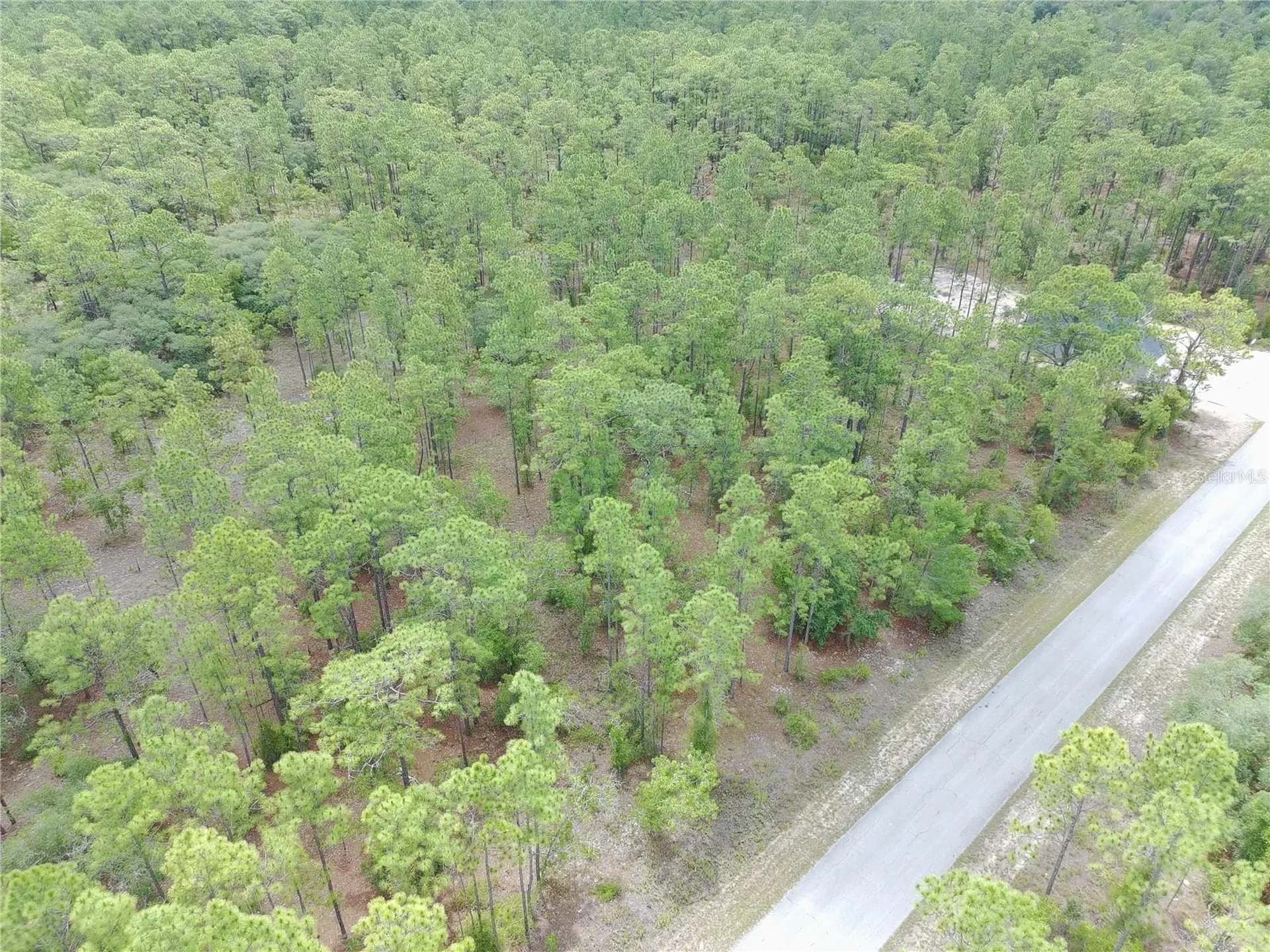 SW Buena Vista Road Dunnellon FL 34431