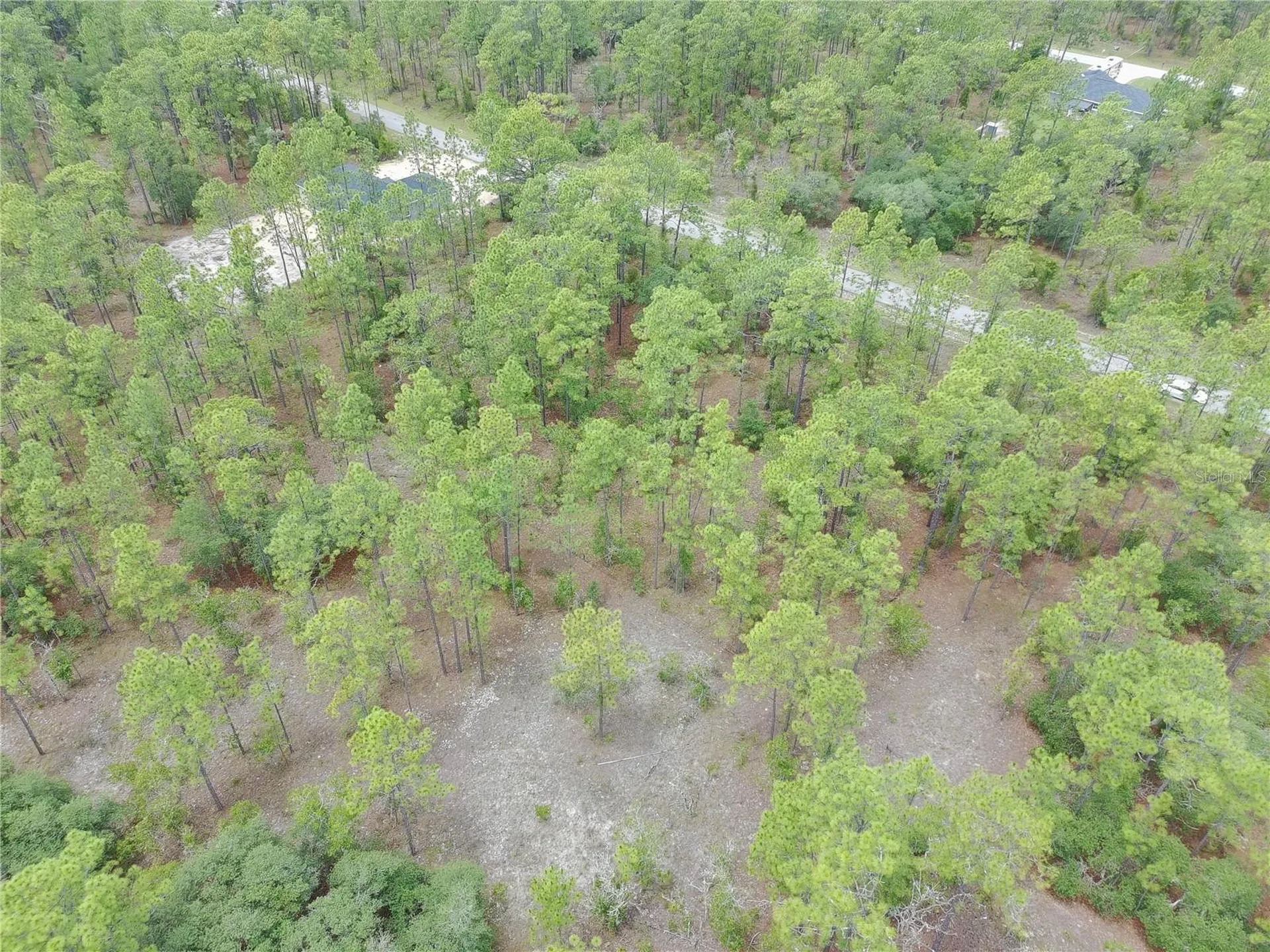 SW Buena Vista Road Dunnellon FL 34431