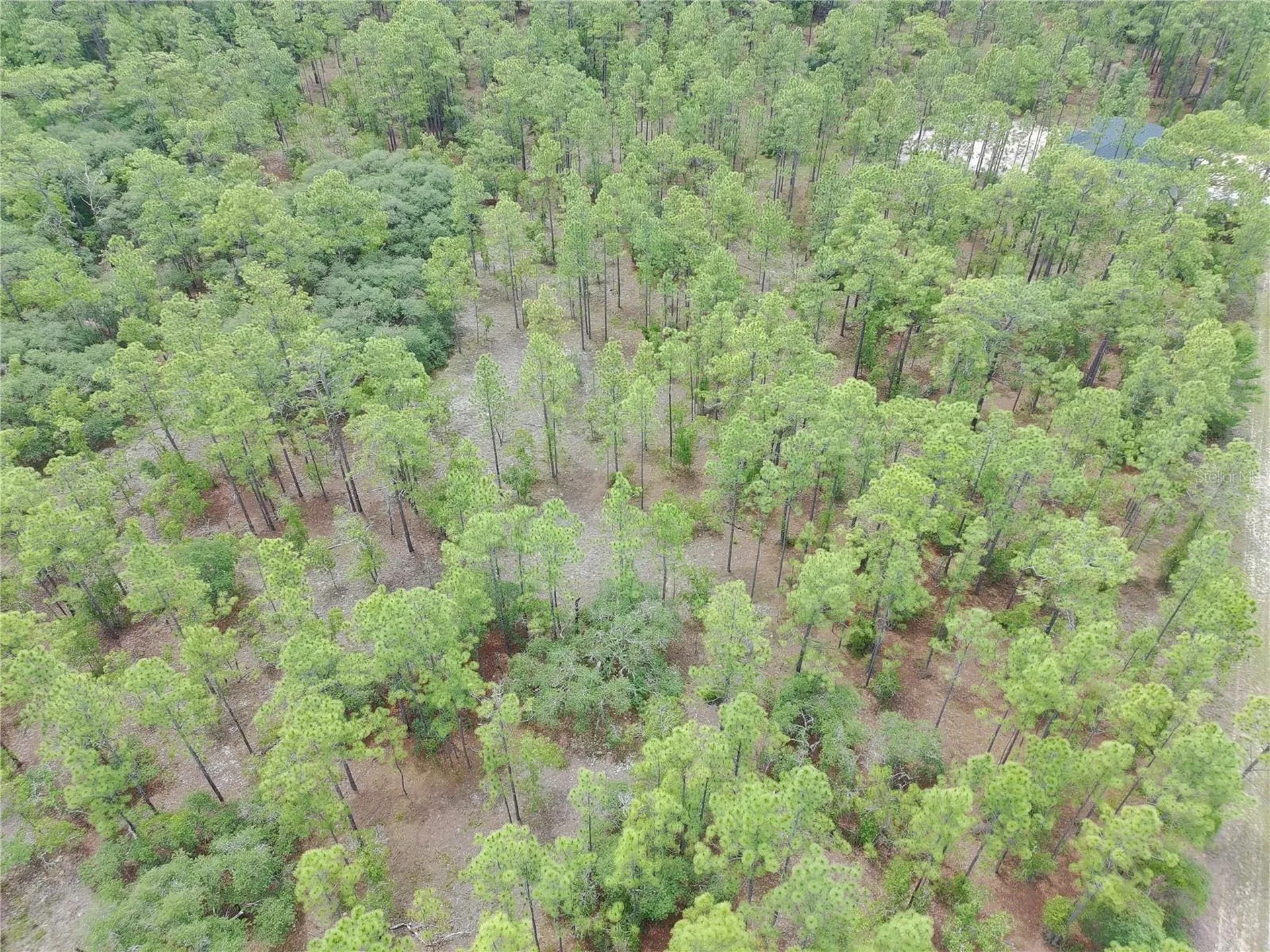 SW Buena Vista Road Dunnellon FL 34431