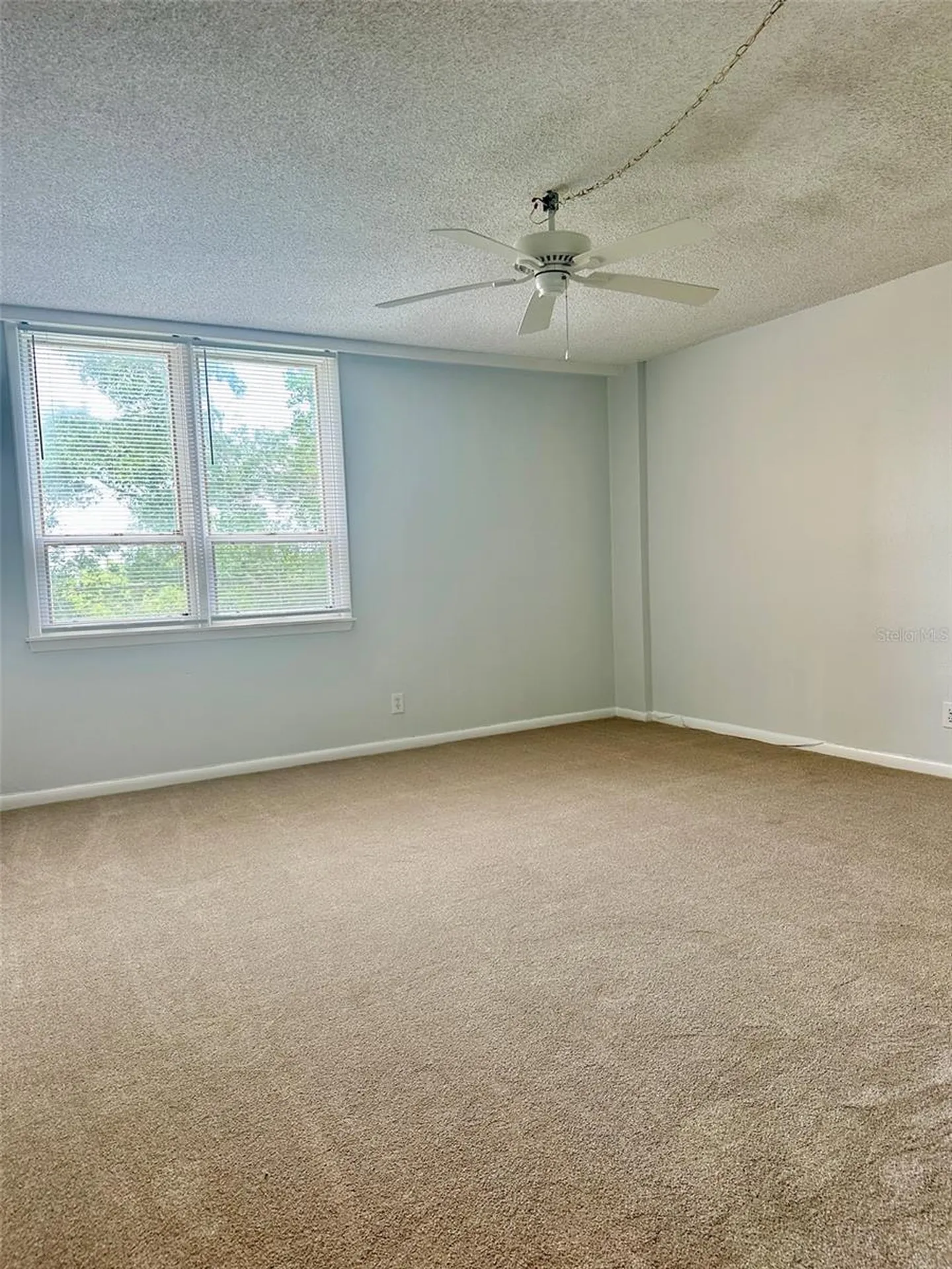 2617 Cove Cay Drive Clearwater FL 33760