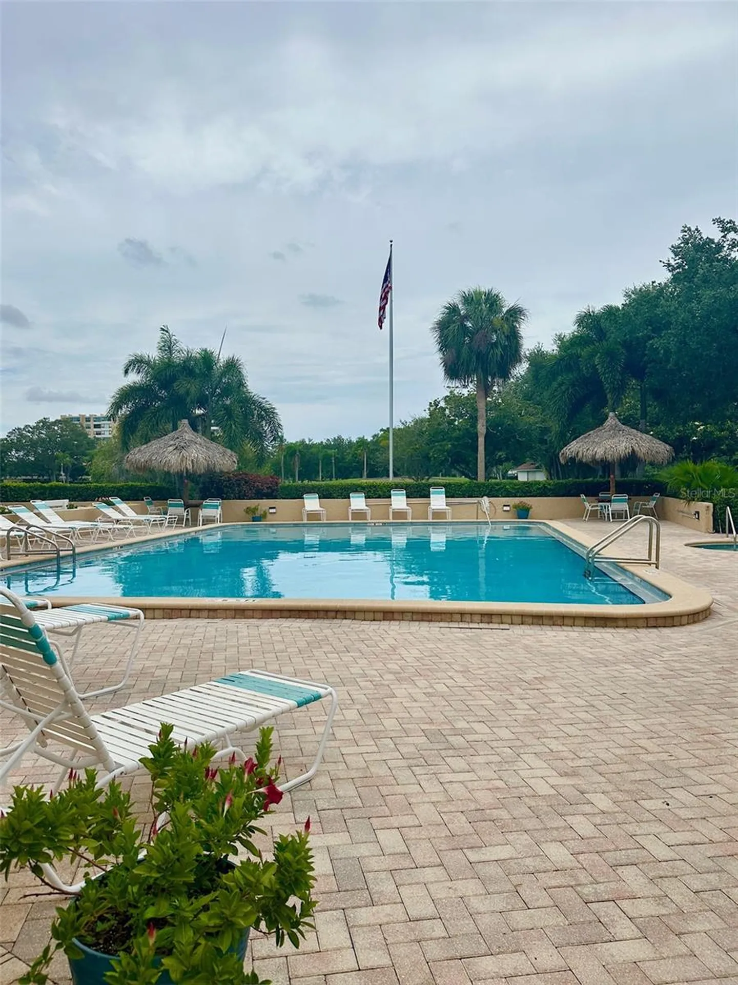 2617 Cove Cay Drive Clearwater FL 33760