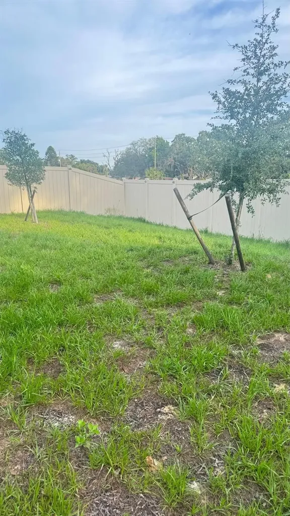 2175 Doe Run Drive Davenport FL 33837