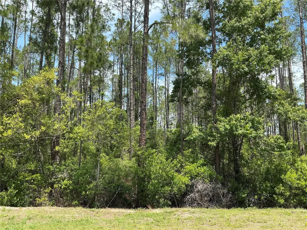 4430 Vicki Street Hastings FL 32145