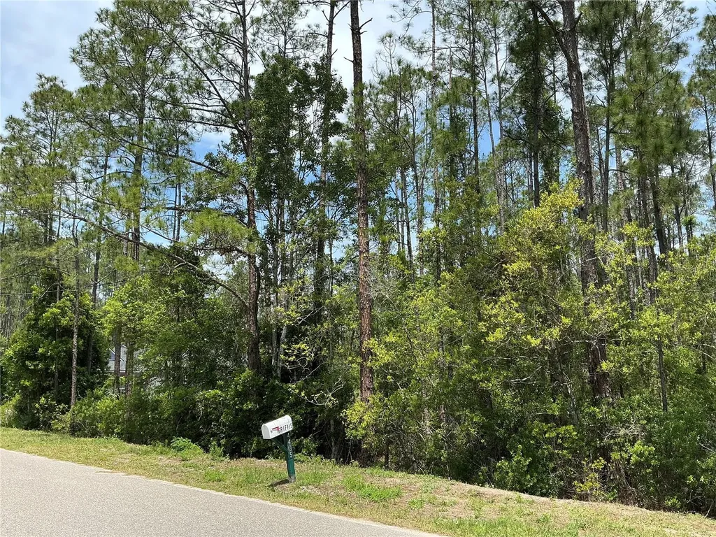 4430 Vicki Street Hastings FL 32145