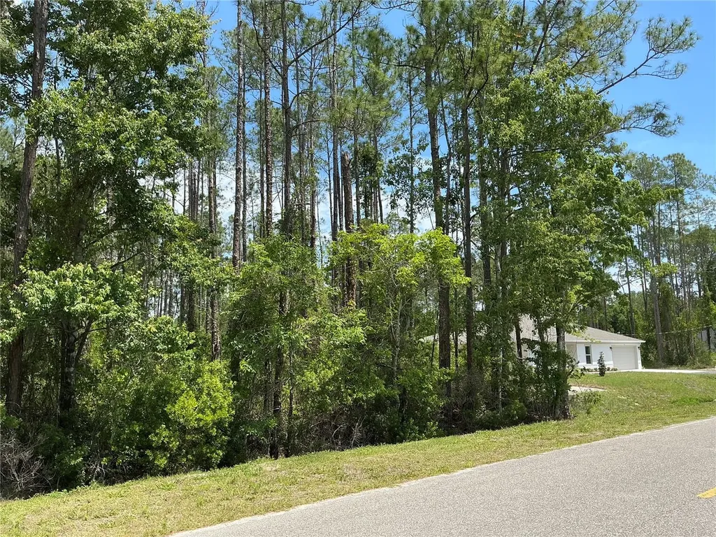 4430 Vicki Street Hastings FL 32145