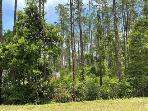 4430 Vicki Street Hastings FL 32145