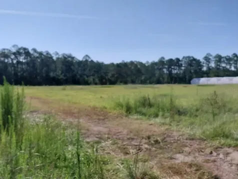 20065 SE Hawthorne Road Hawthorne FL 32640
