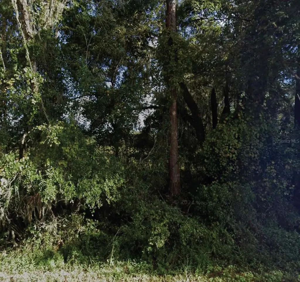NE 234th Place Road Fort Mc Coy FL 32134