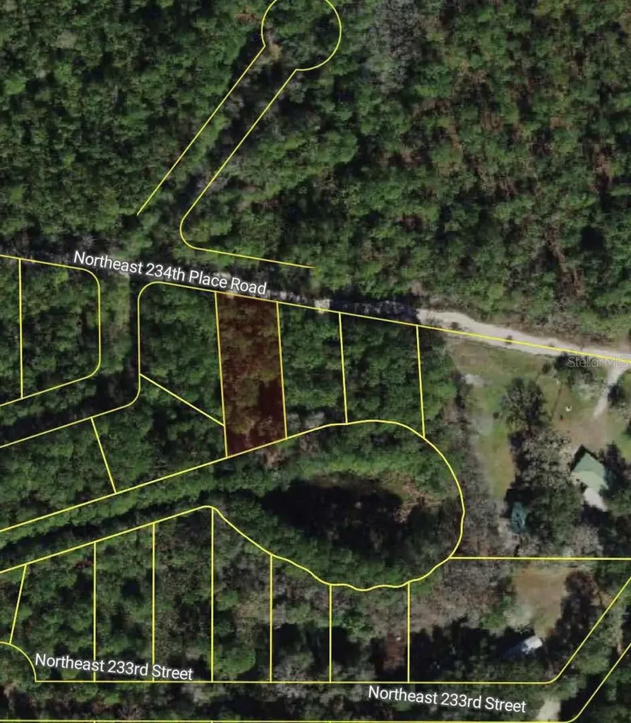 NE 234th Place Road Fort Mc Coy FL 32134