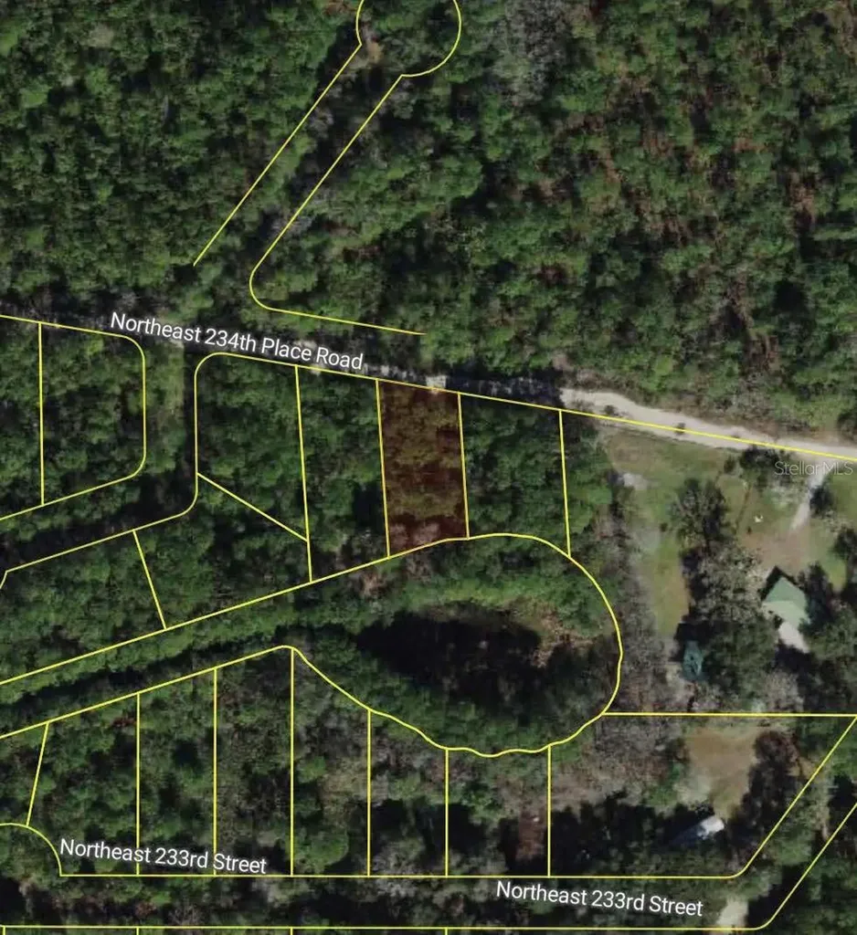 NE 234th Place Road Fort Mc Coy FL 32134