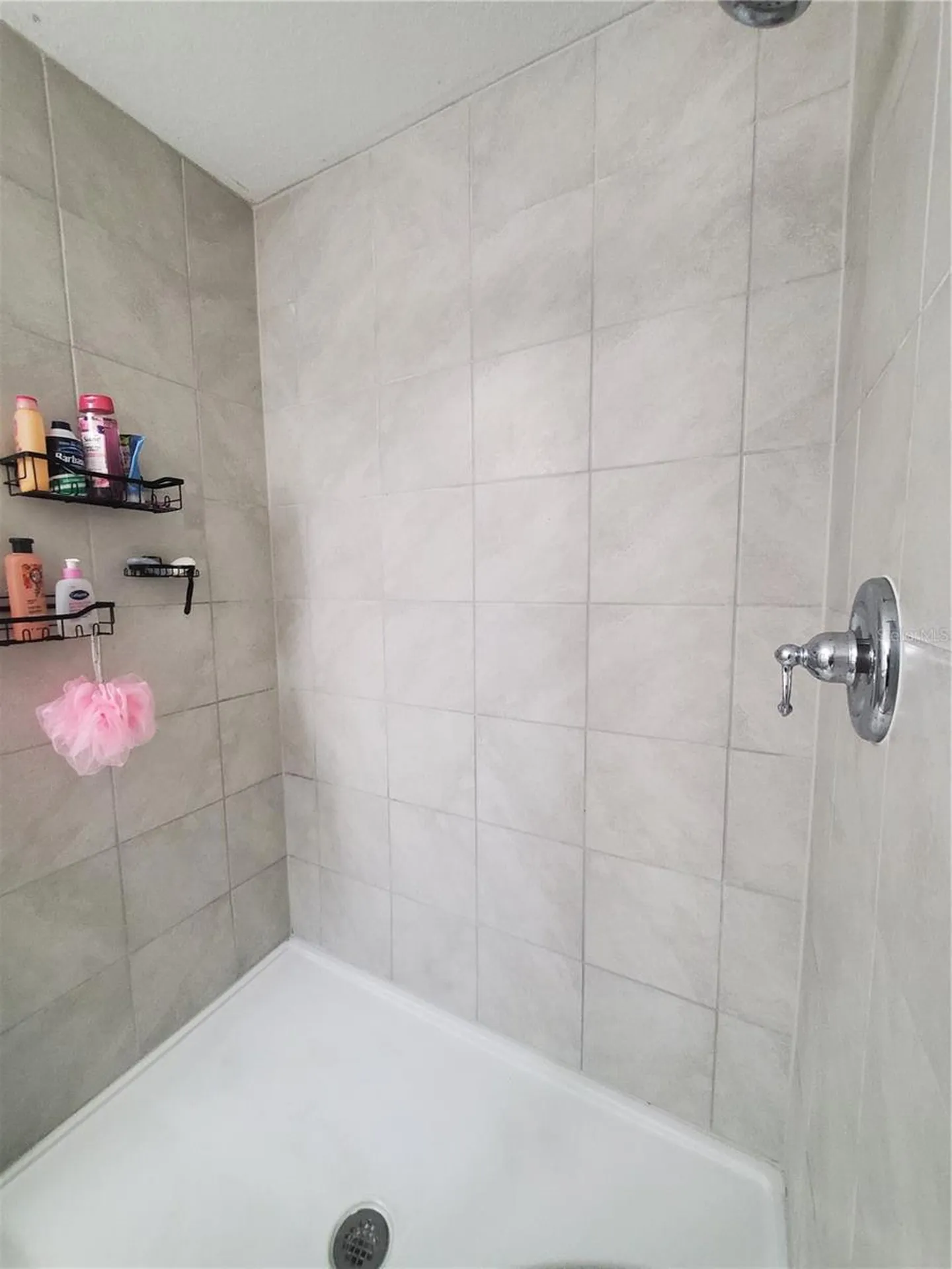 10960 Brightleaf Court Riverview FL 33569