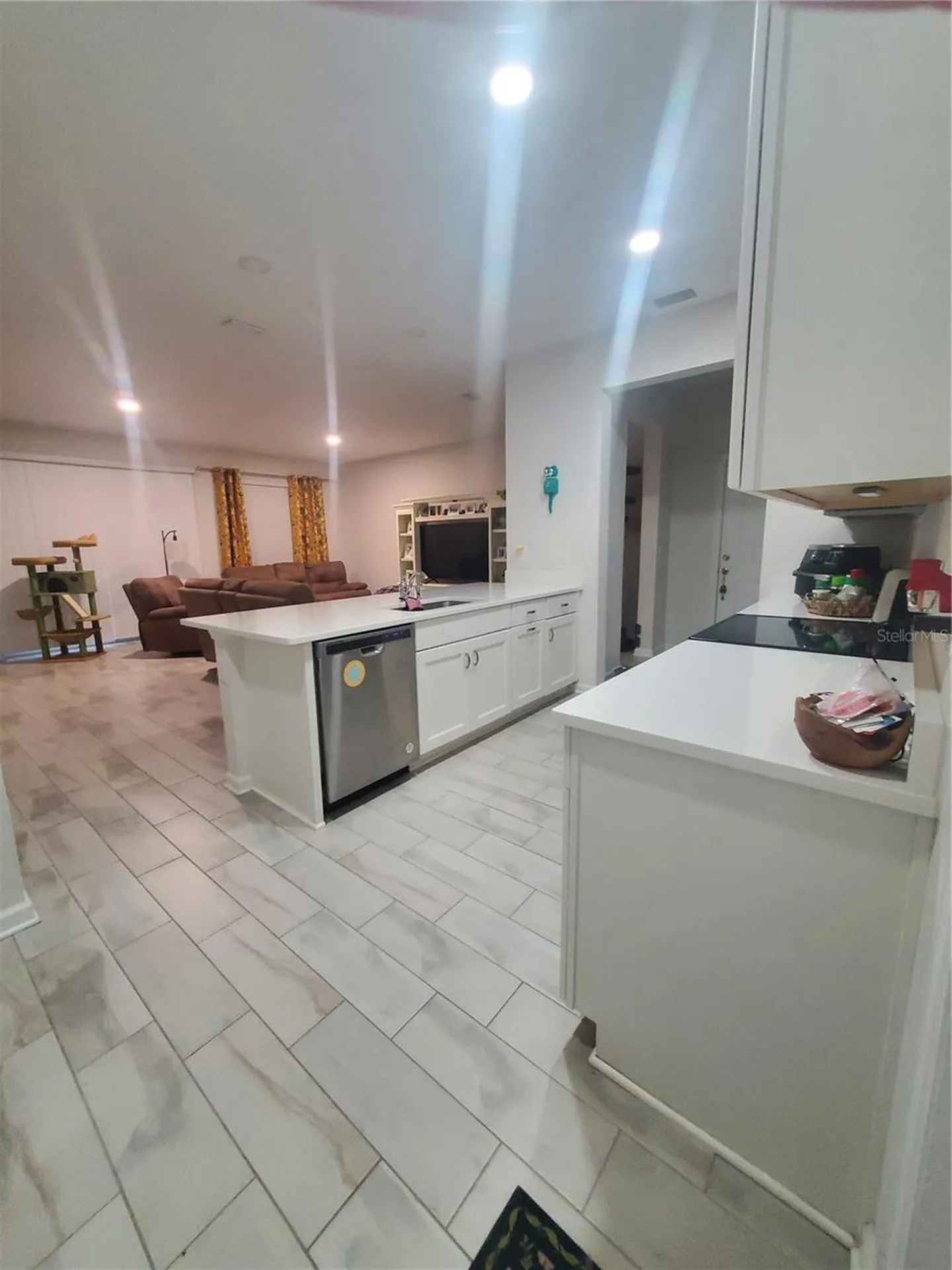 10960 Brightleaf Court Riverview FL 33569
