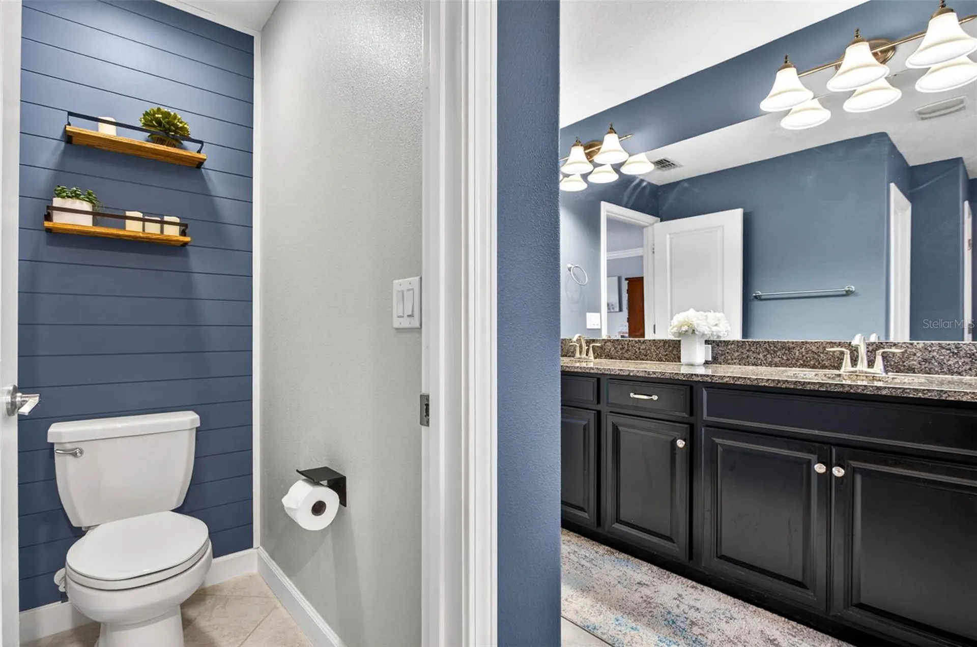 13242 Satin Lily Drive Riverview FL 33579