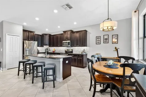 13242 Satin Lily Drive Riverview FL 33579