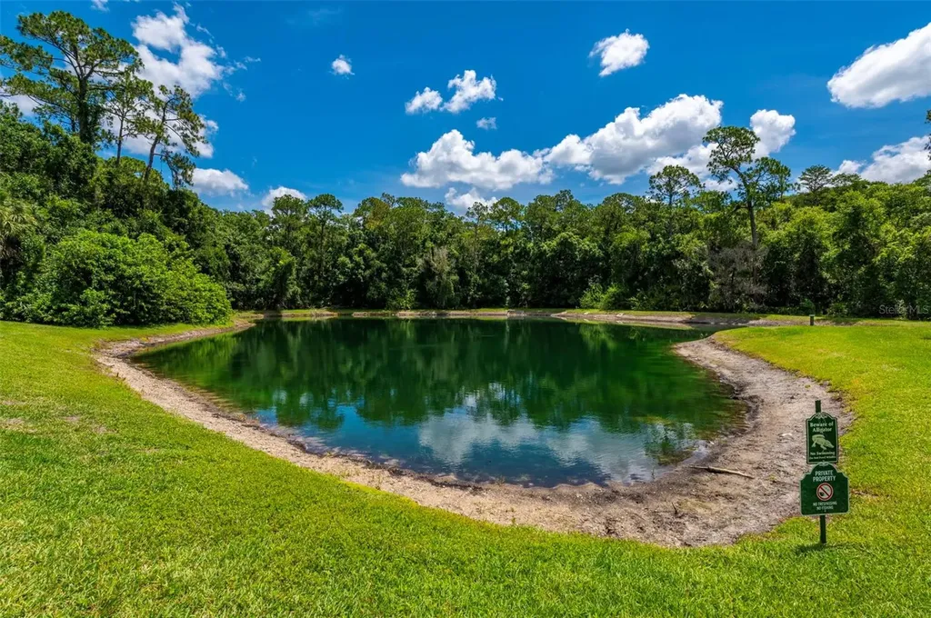 3638 Trafalgar Way Palm Harbor FL 34685