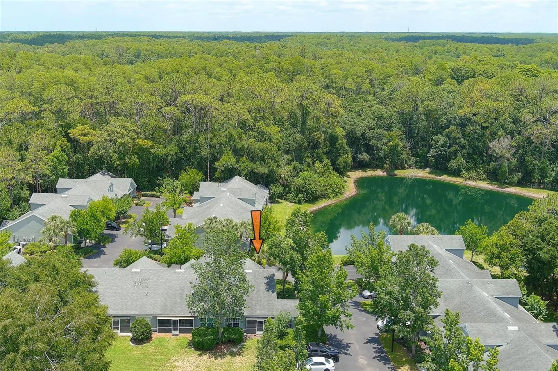 3638 Trafalgar Way Palm Harbor FL 34685