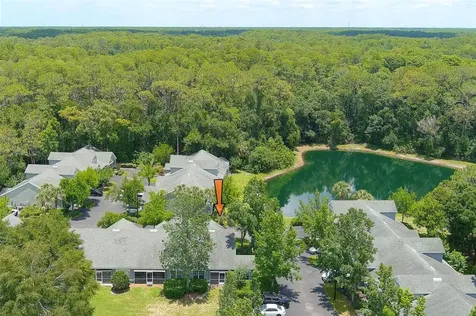 3638 Trafalgar Way Palm Harbor FL 34685