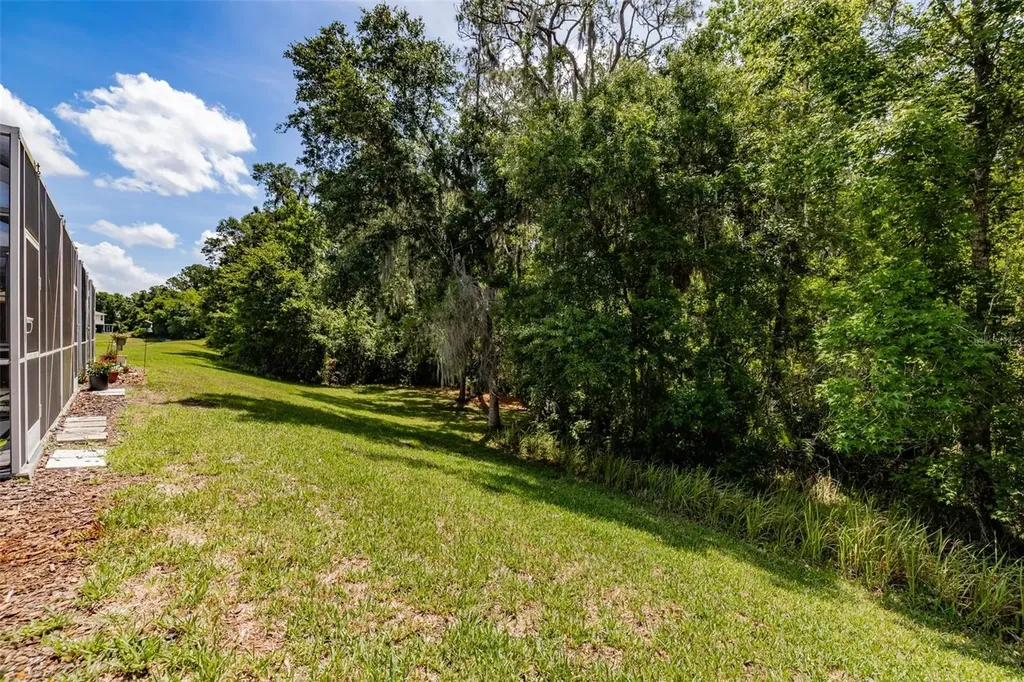 15911 Fishhawk View Drive Lithia FL 33547