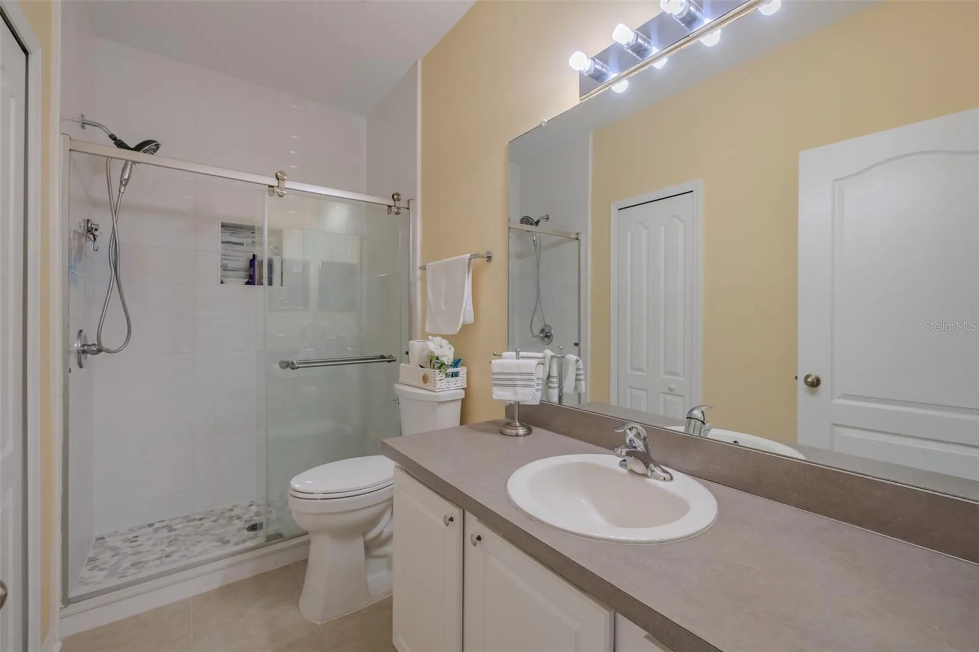 15911 Fishhawk View Drive Lithia FL 33547