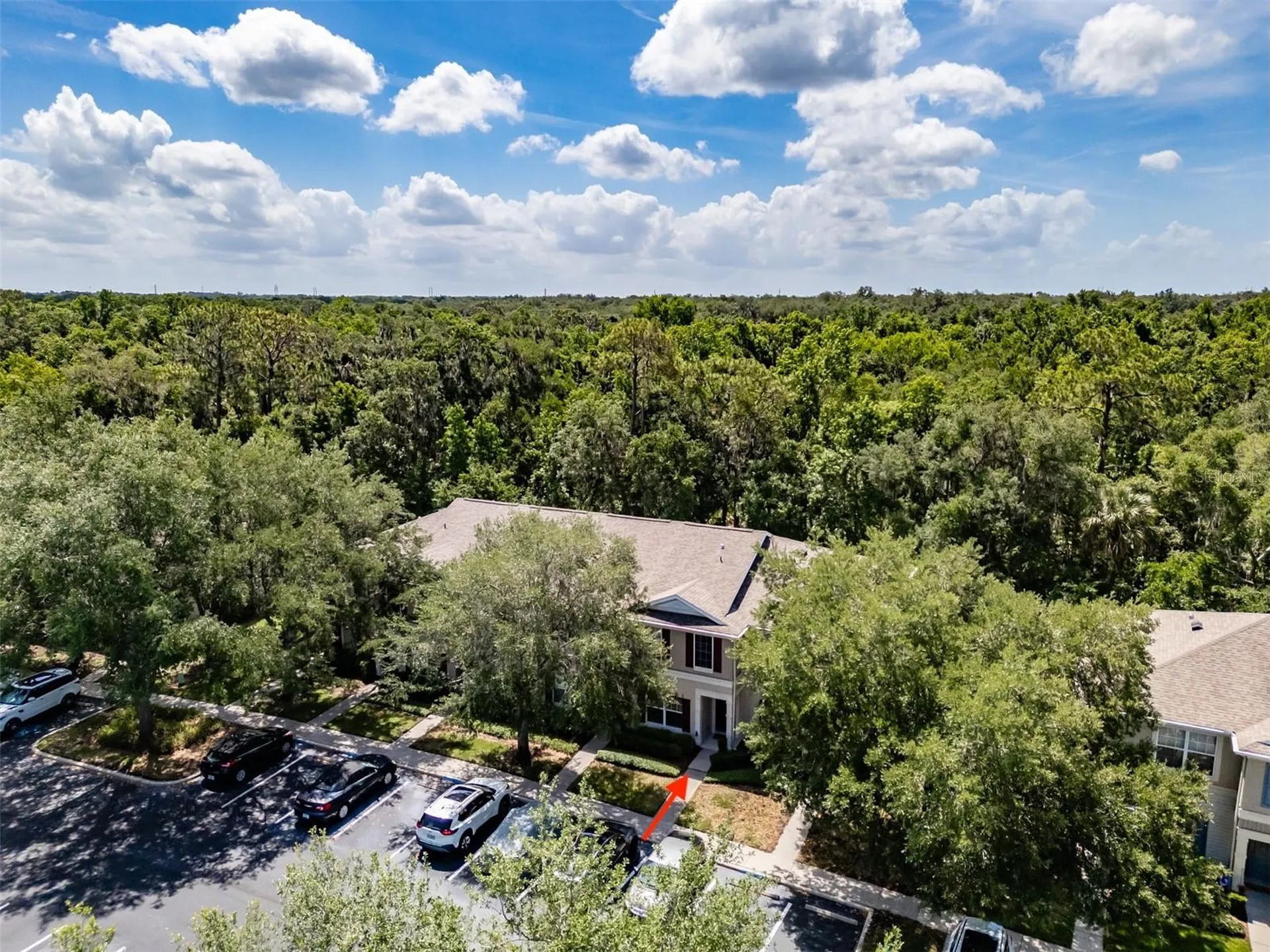 15911 Fishhawk View Drive Lithia FL 33547