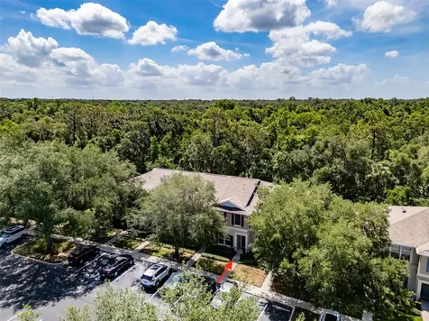 15911 Fishhawk View Drive Lithia FL 33547
