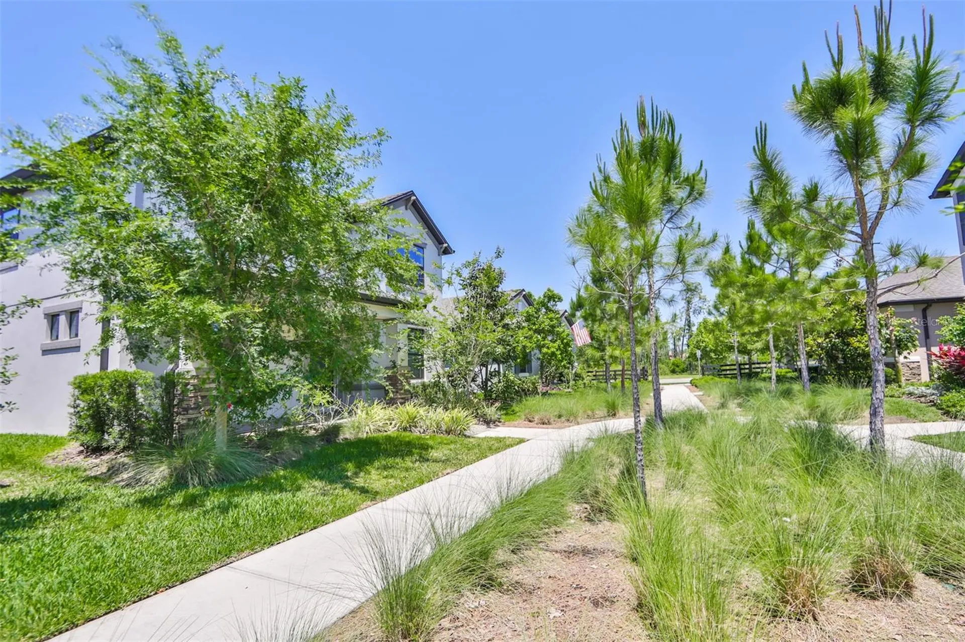 3044 Abrams Trail Odessa FL 33556