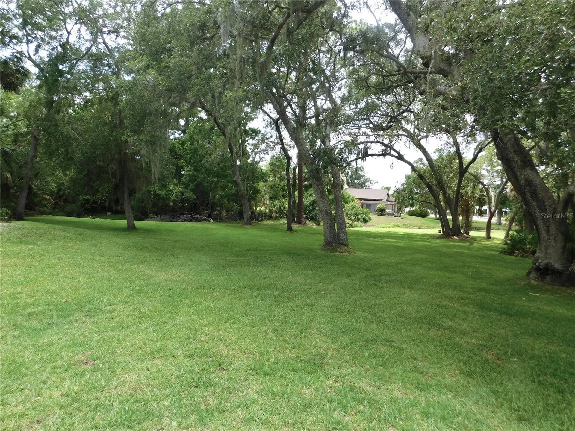 1400 Tarpon Woods Boulevard Palm Harbor FL 34685
