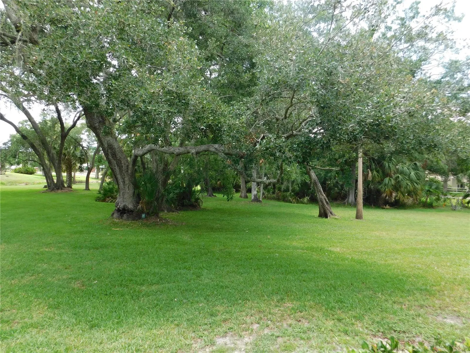 1400 Tarpon Woods Boulevard Palm Harbor FL 34685