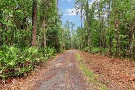 7622 SE County Road 234 Gainesville FL 32641