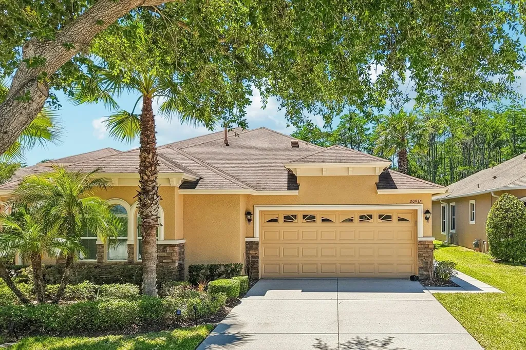 20932 Amanda Oak Court Land O Lakes FL 34638