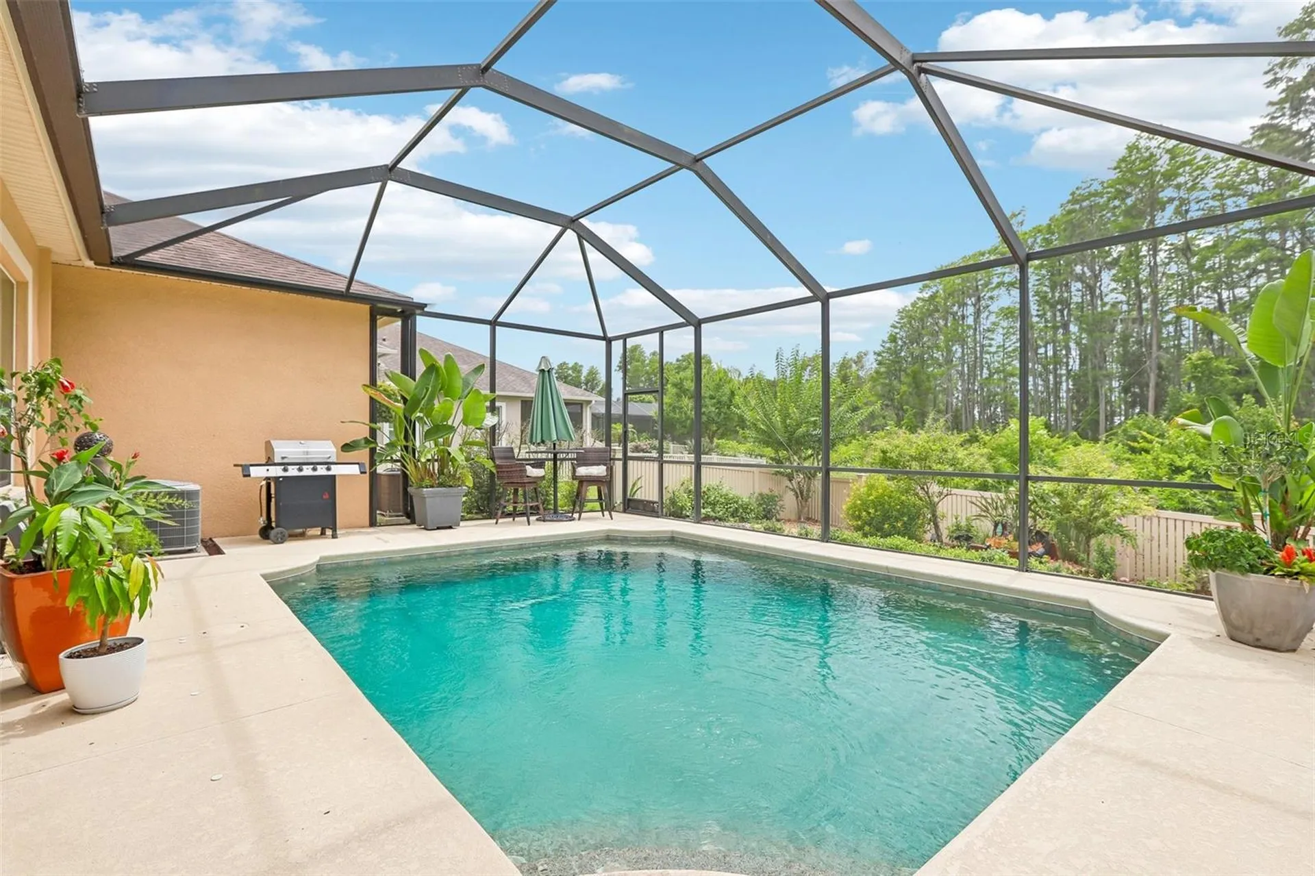 20932 Amanda Oak Court Land O Lakes FL 34638