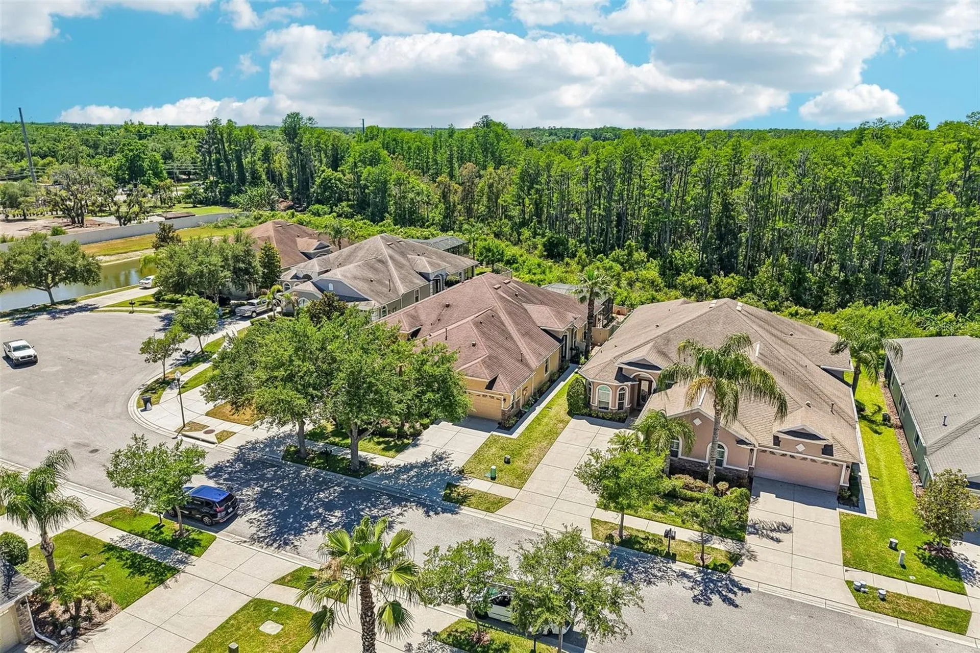 20932 Amanda Oak Court Land O Lakes FL 34638