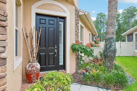 20932 Amanda Oak Court Land O Lakes FL 34638