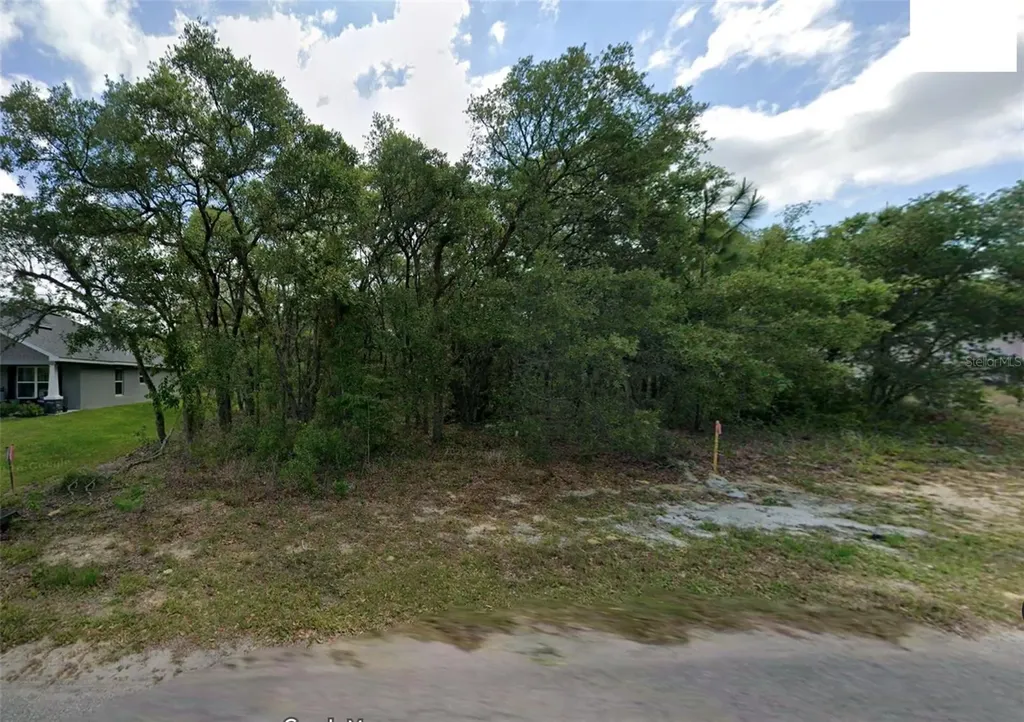 14 Nemesia Court E Homosassa FL 34446
