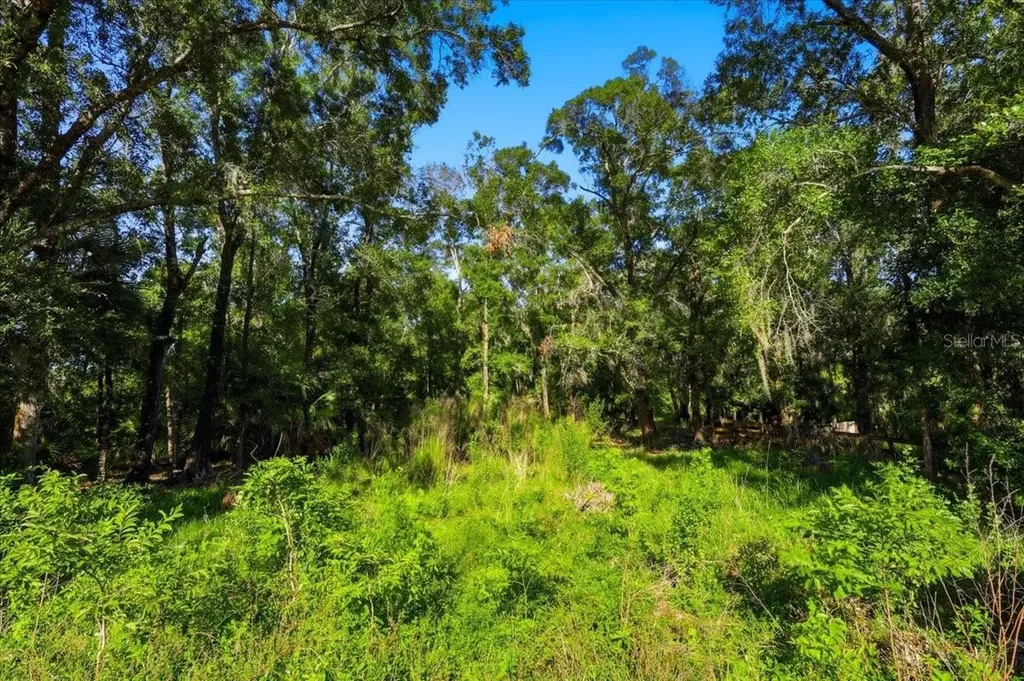 3795 County Road 305 Bunnell FL 32110