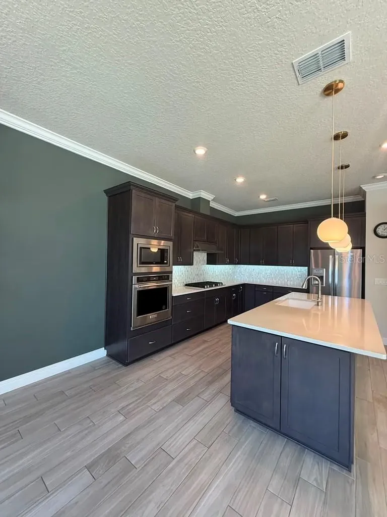 10732 Pahokee Beach Place Orlando FL 32827